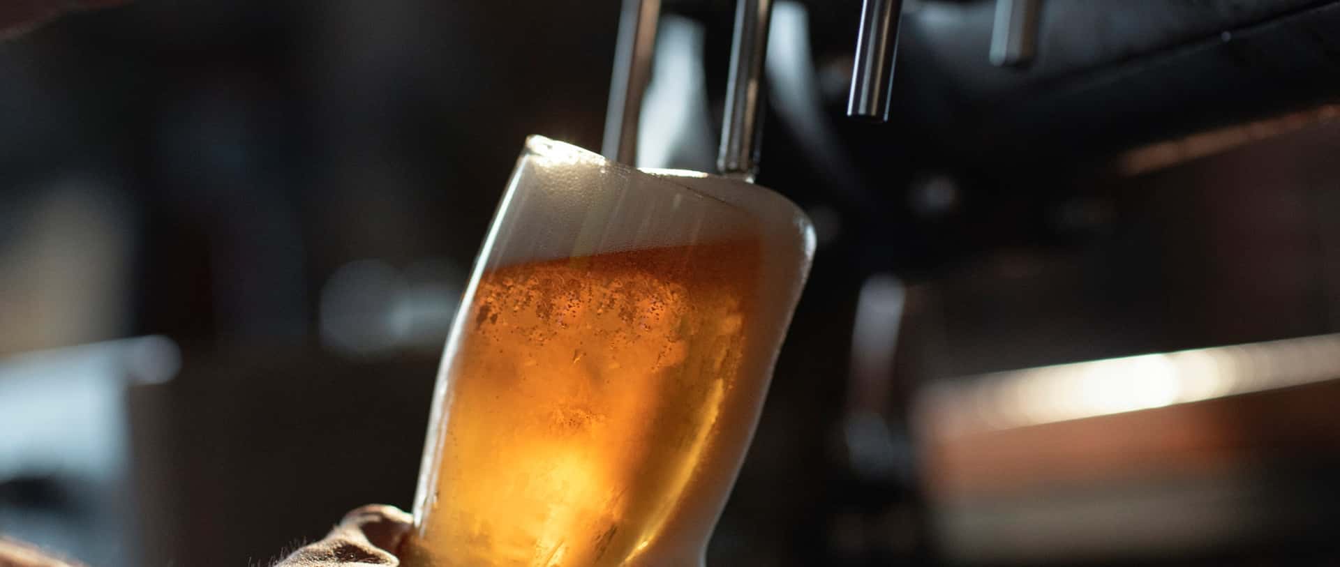 Frisch gezapftes Bier